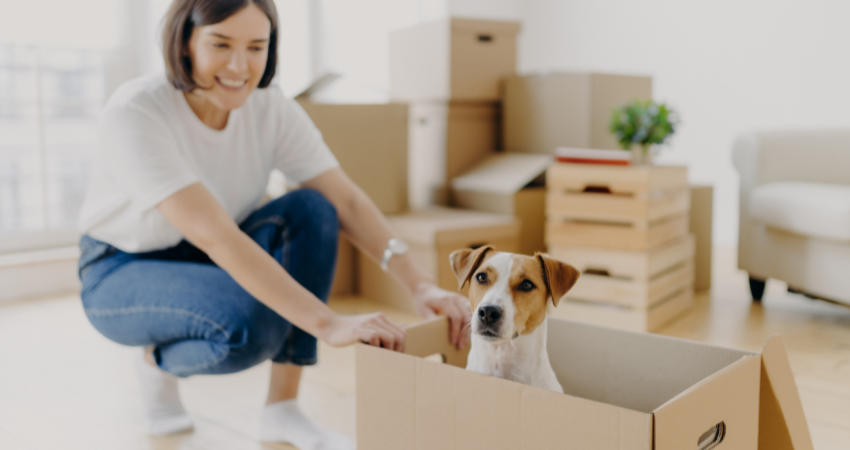 Consider allowing pets for your rental property